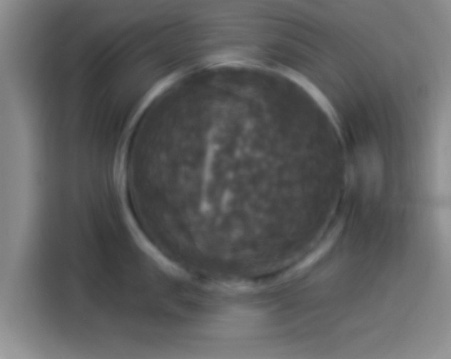X0000113920957200910011509