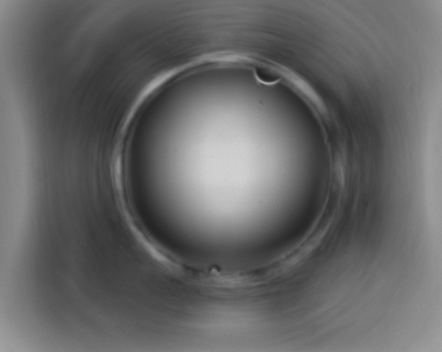X0000113920959200910011509