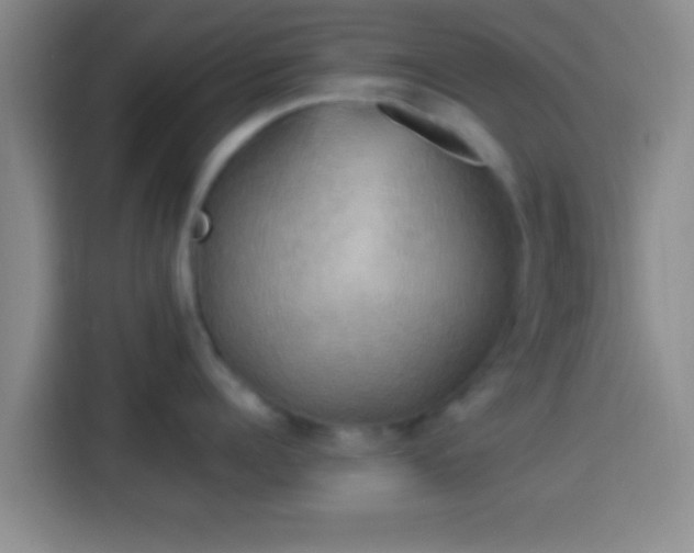 X0000113920960200910011509