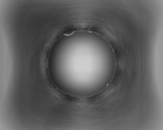 X0000113920961200910011509