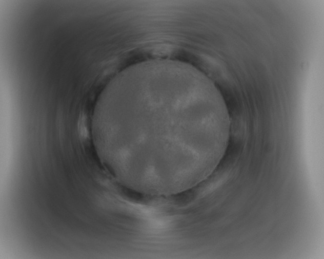 X0000113920962200910011509