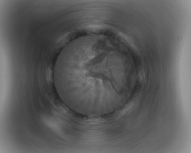 X0000113920964200910011509
