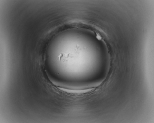 X0000113920965200910011509