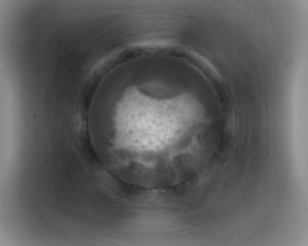 X0000113920966200910011509