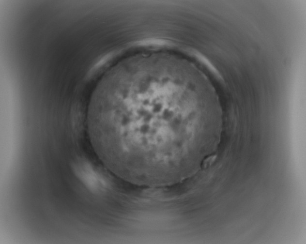 X0000113920967200910011509