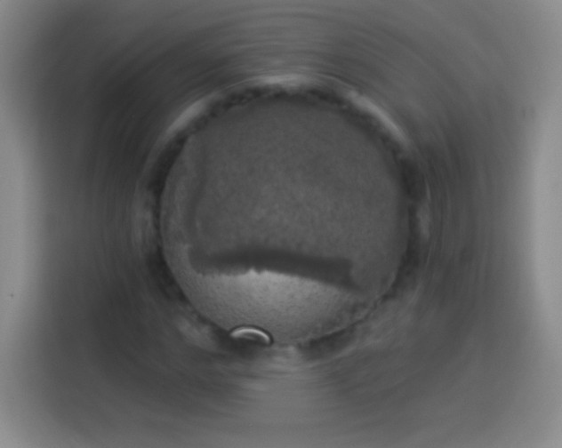 X0000113920968200910011509