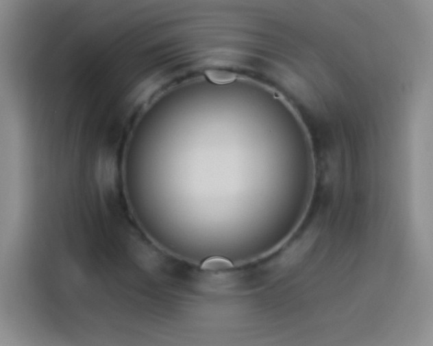 X0000113920969200910011509