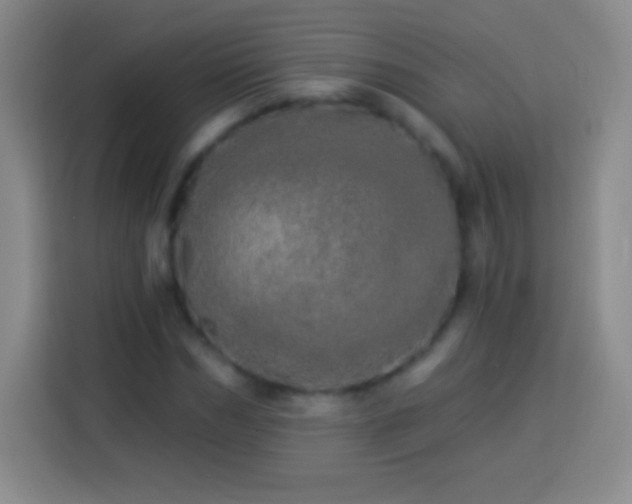 X0000113920970200910011509
