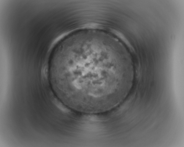 X0000113920971200910011509
