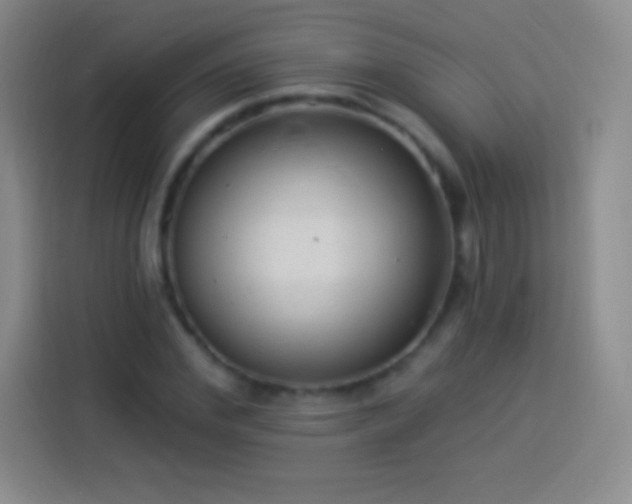 X0000113920972200910011509