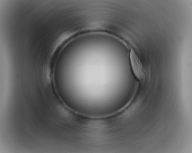 X0000113920973200910011509