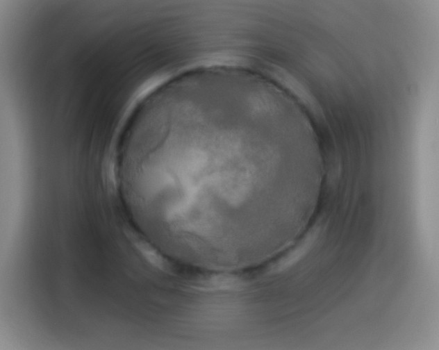 X0000113920974200910011509