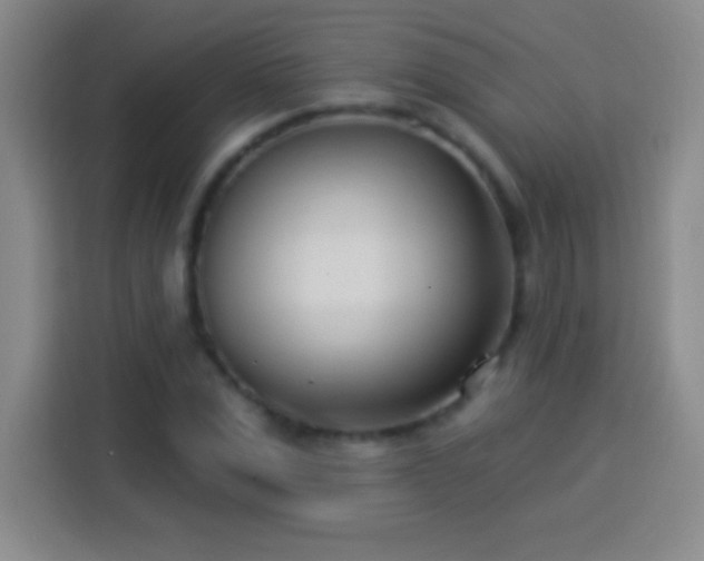 X0000113920975200910011509