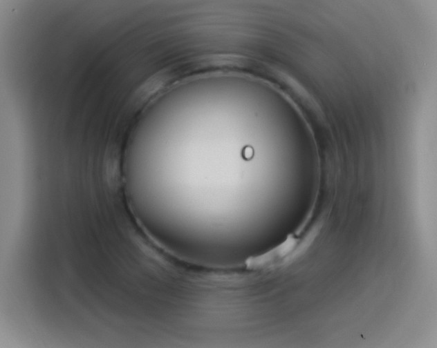 X0000113920977200910011508