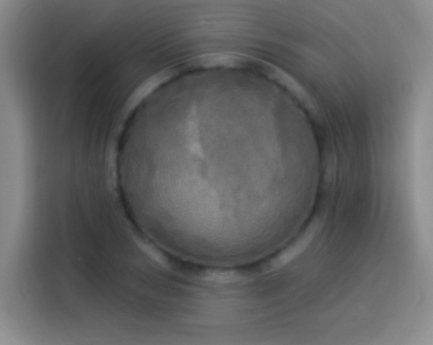 X0000113920978200910011508