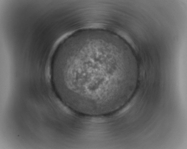 X0000113920979200910011508
