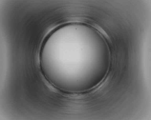 X0000113920980200910011508