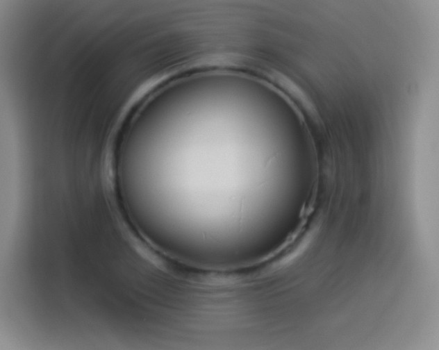 X0000113920981200910011508