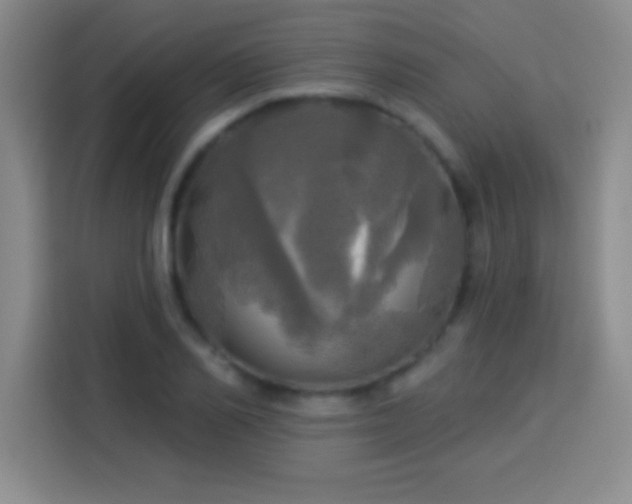 X0000113920982200910011508