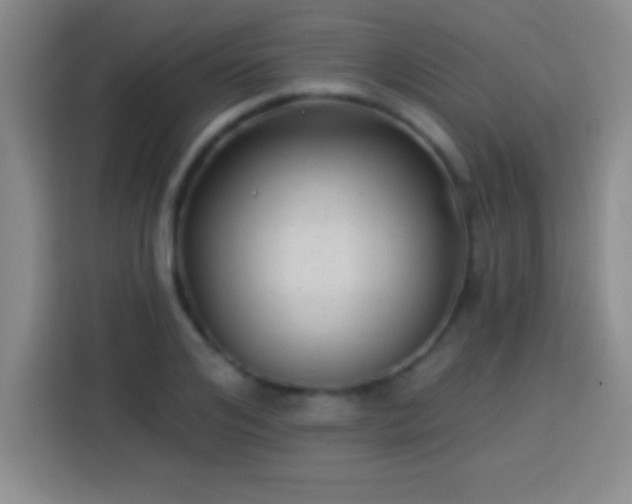X0000113920984200910011508