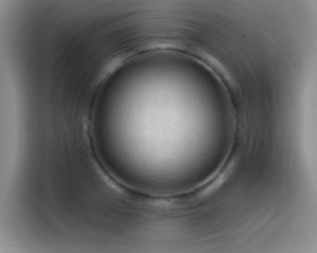 X0000113920985200910011508