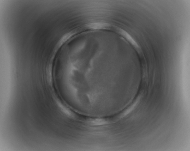 X0000113920986200910011508