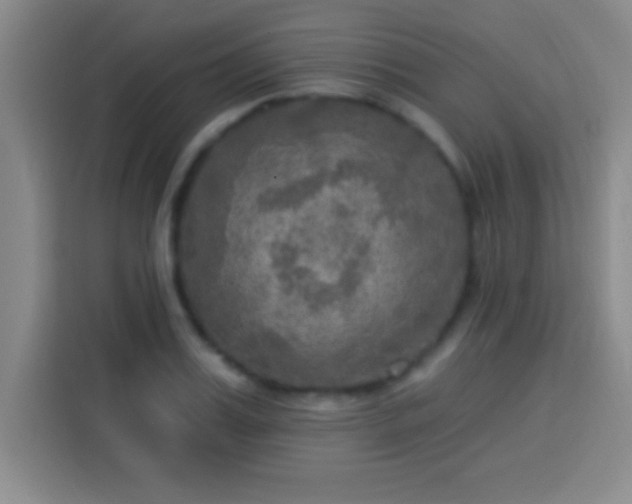 X0000113920987200910011508