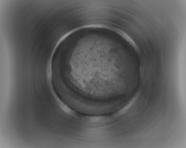 X0000113920988200910011508
