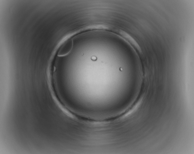 X0000113920989200910011508