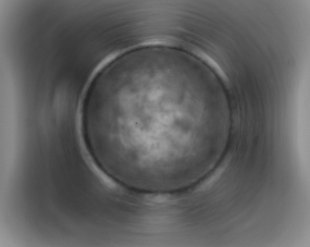 X0000113920991200910011508