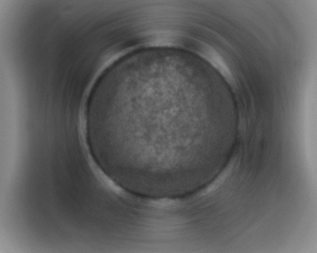 X0000113920992200910011508