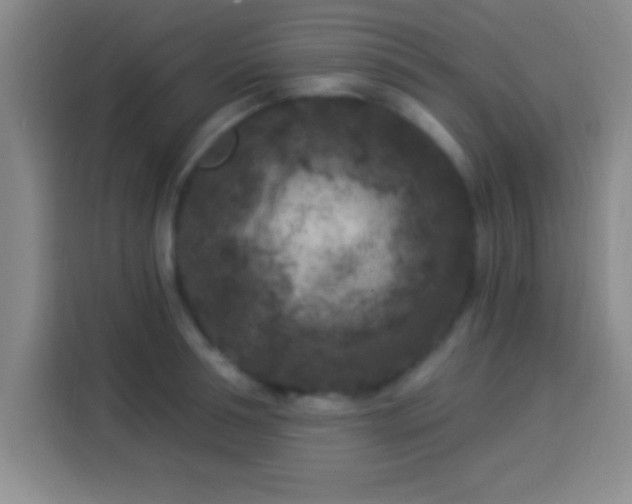 X0000113920994200910011508