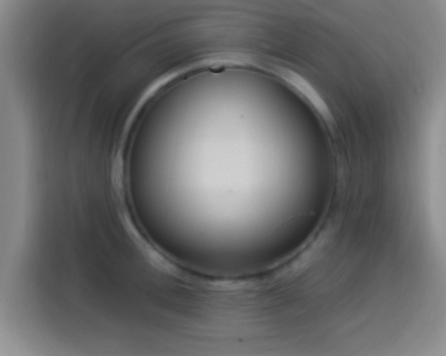 X0000113920996200910011508
