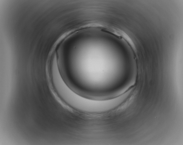 X0000113920997200910011508