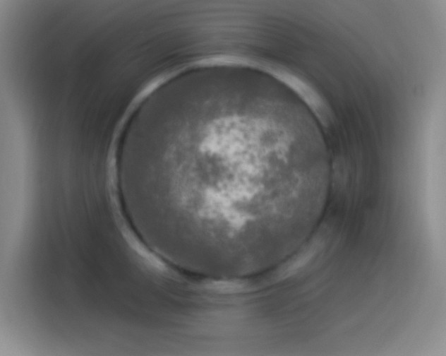 X0000113920998200910011508