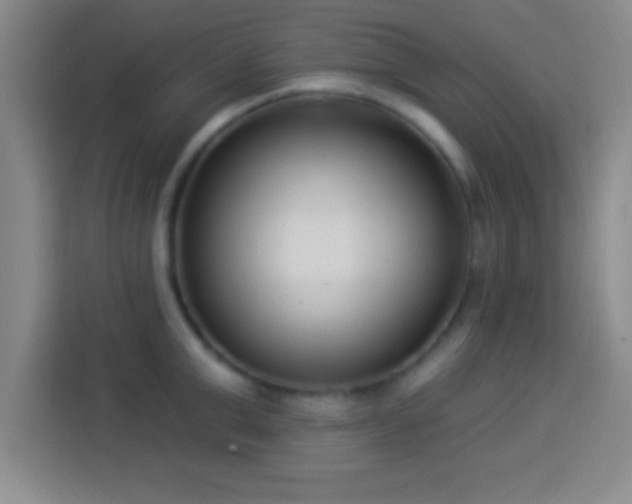 X0000113920999200910011508