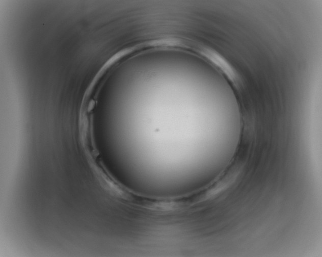 X0000113921000200910011508