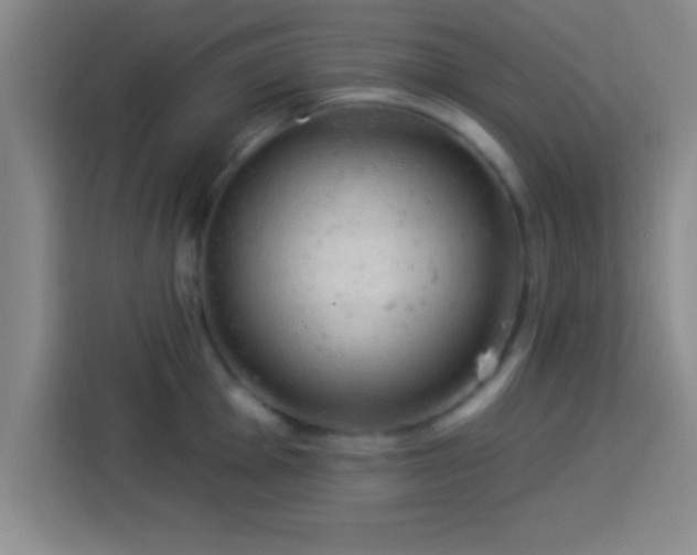 X0000113921001200910011508