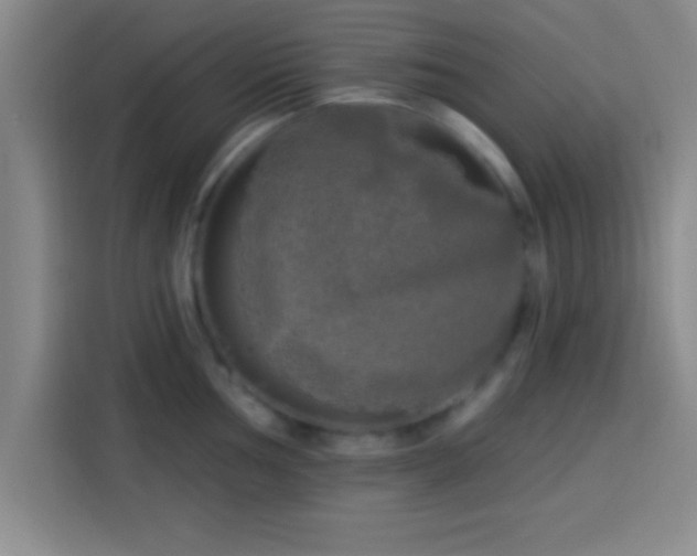 X0000113921002200910011508
