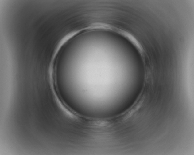 X0000113921003200910011508