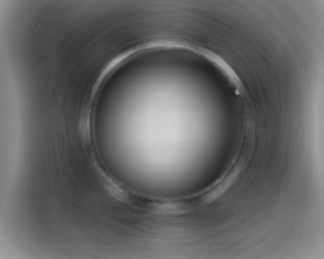 X0000113921004200910011508