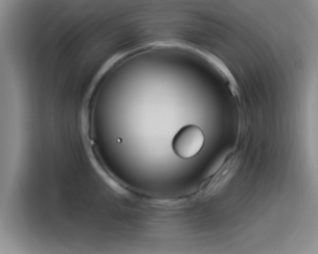 X0000113921005200910011508