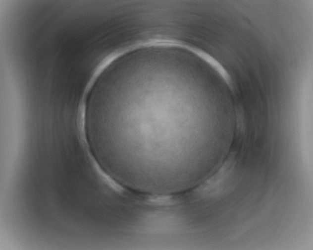 X0000113921006200910011508