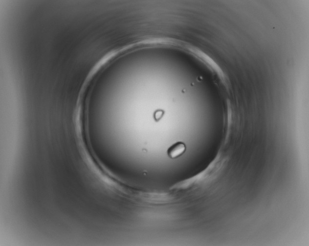X0000113921007200910011508