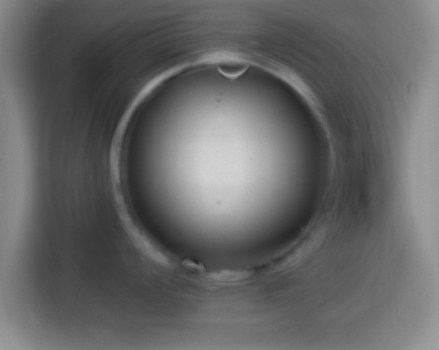 X0000113921008200910011508