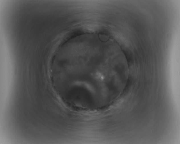 X0000113921009200910011507