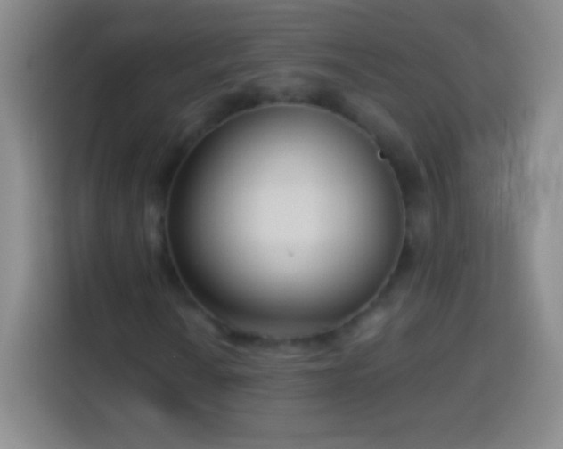 X0000113921010200910011507