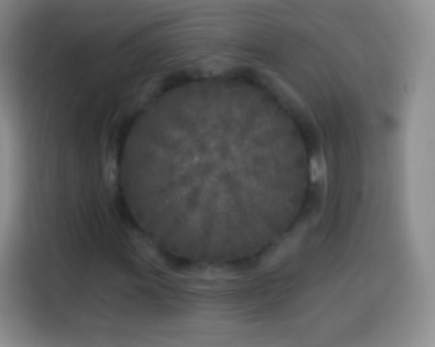 X0000113921011200910011507