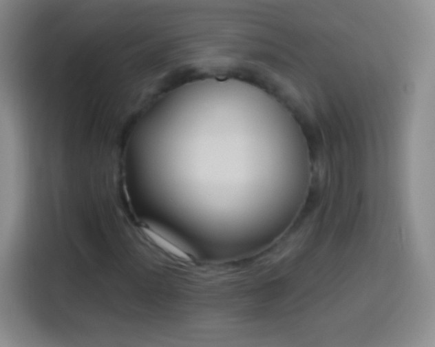X0000113921012200910011508