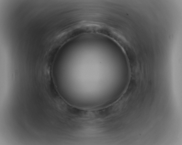 X0000113921013200910011508
